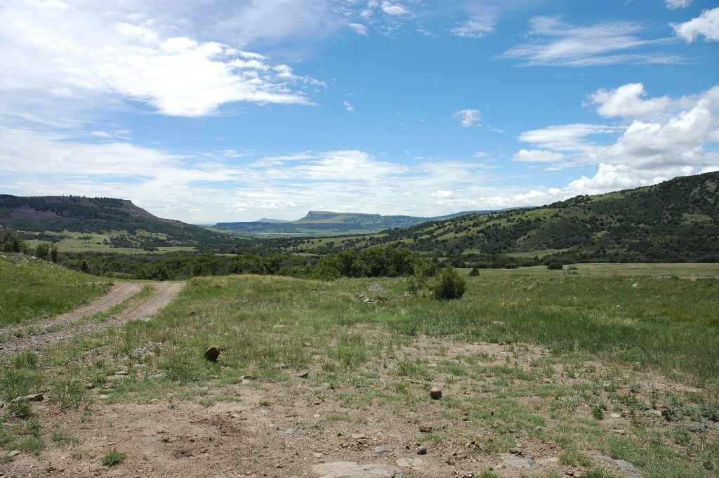 North Country Real Estate