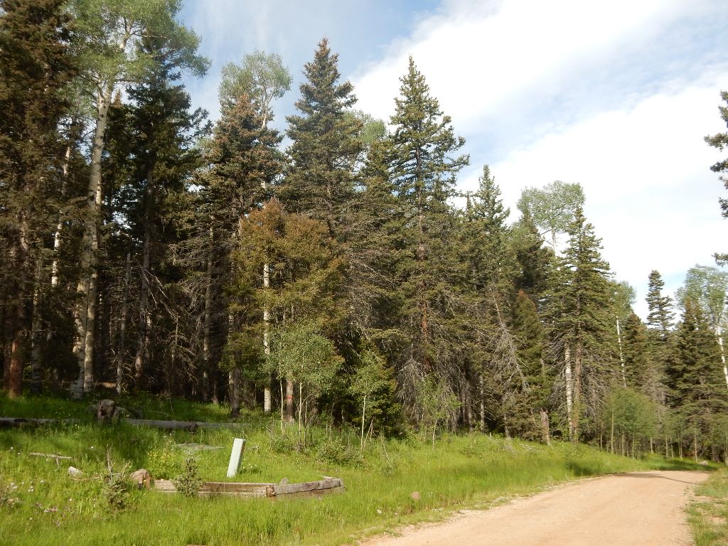 Elk Ridge I, Lot 23 North Country Real Estate