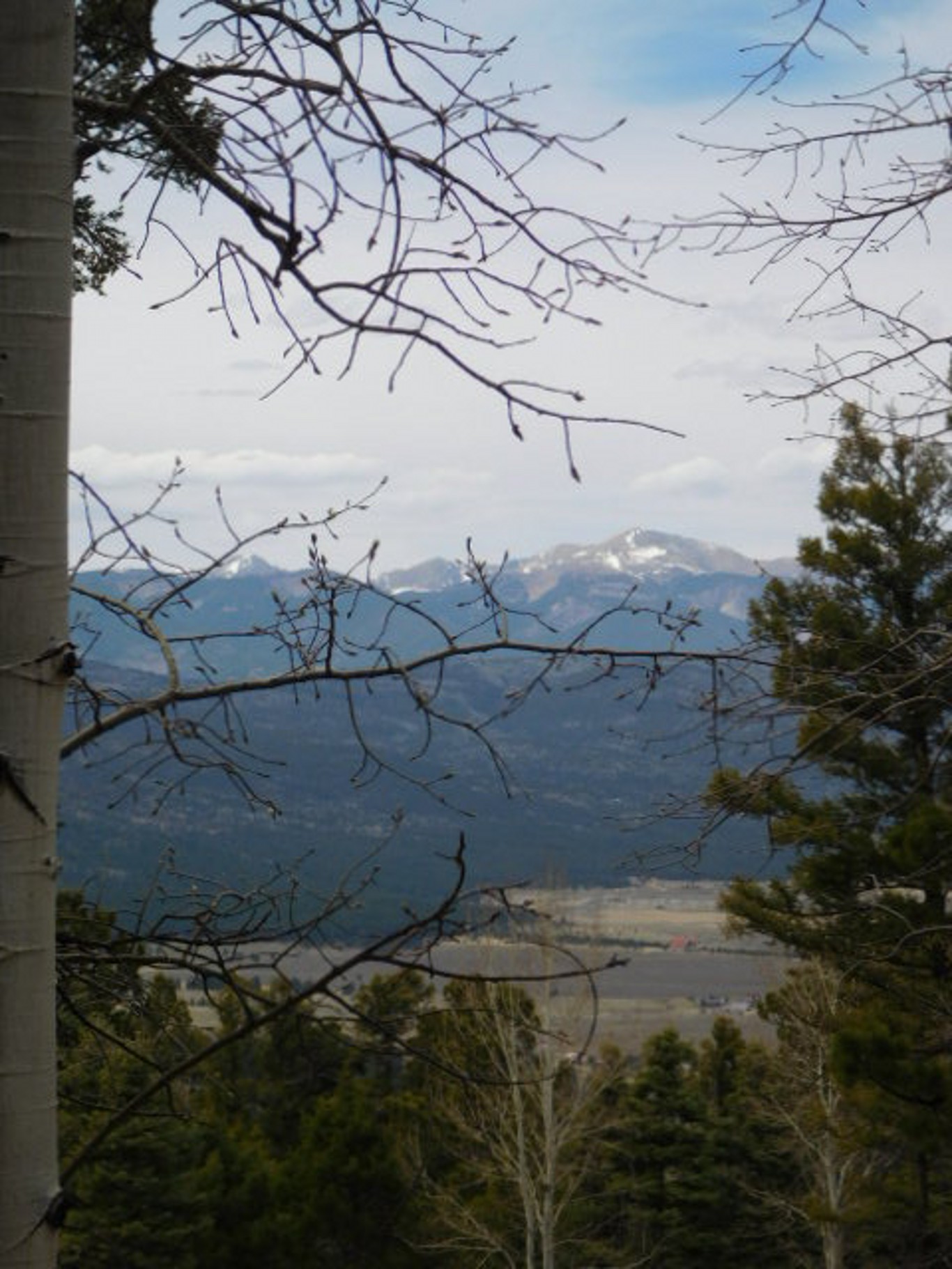 Angel Fire Chalets Lot 501 Vail Loop North Country Real Estate