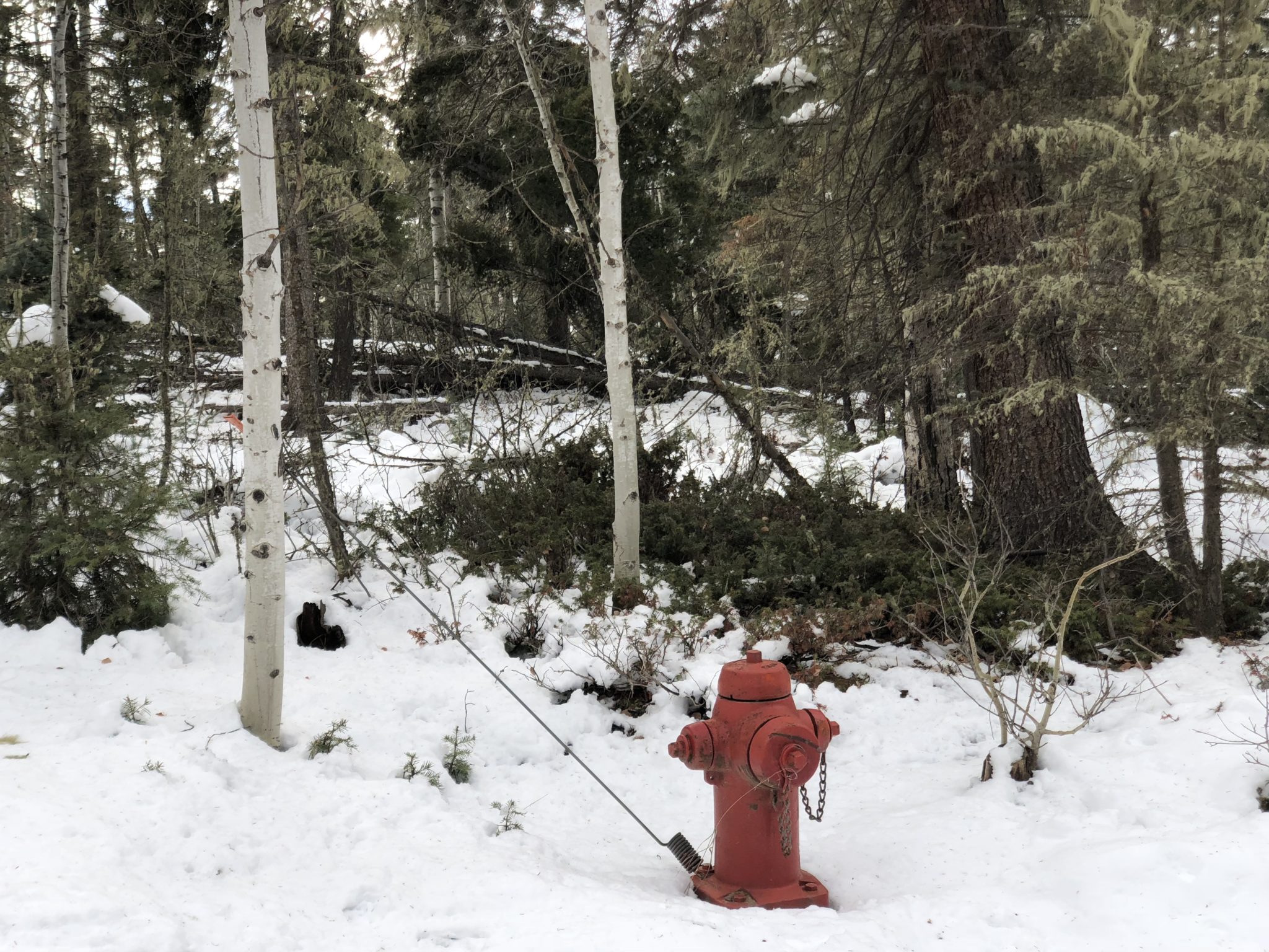 Angel Fire Country Club 1, Lot 129 North Country Real Estate