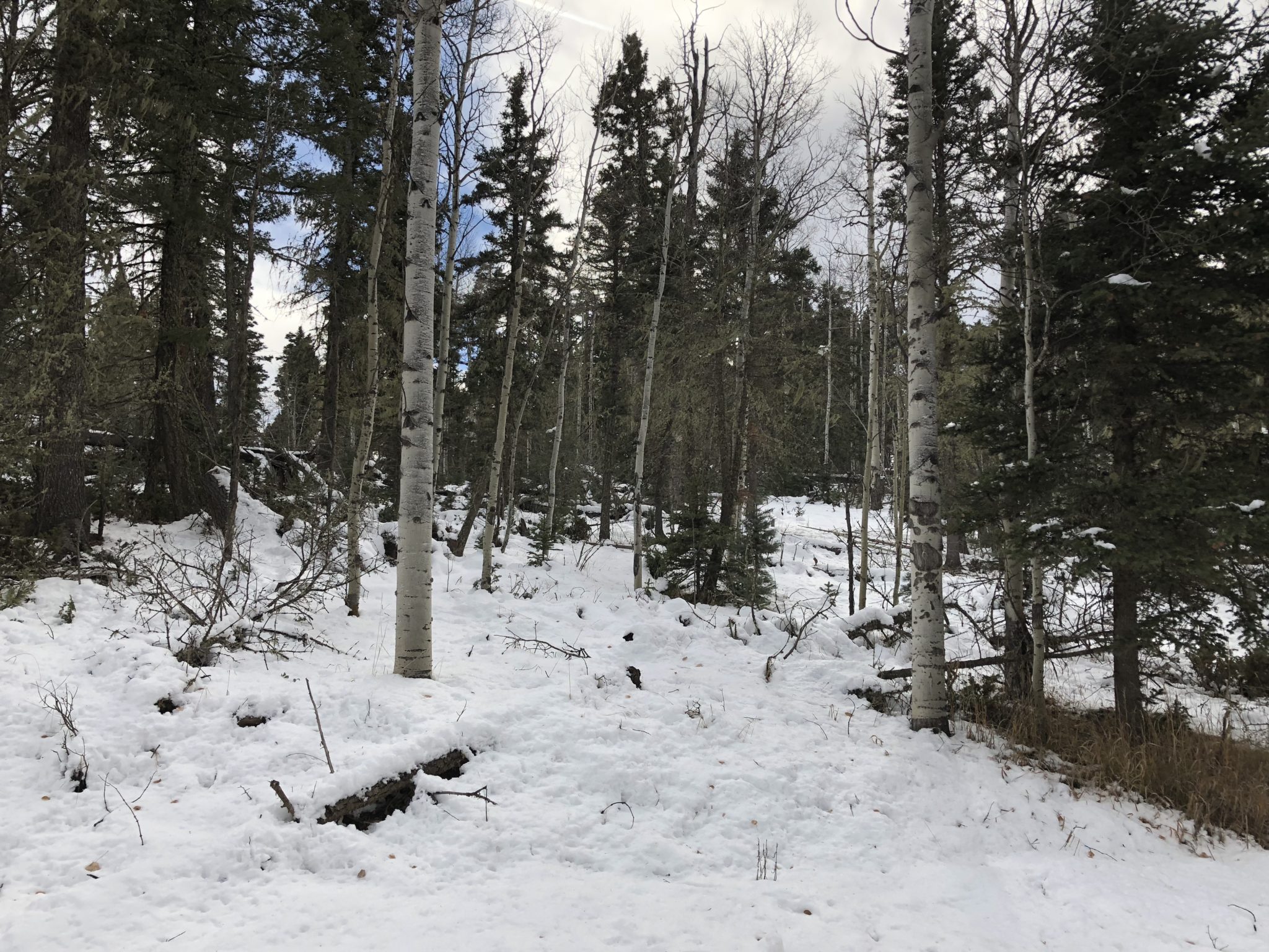 Angel Fire Country Club 1, Lot 129 North Country Real Estate