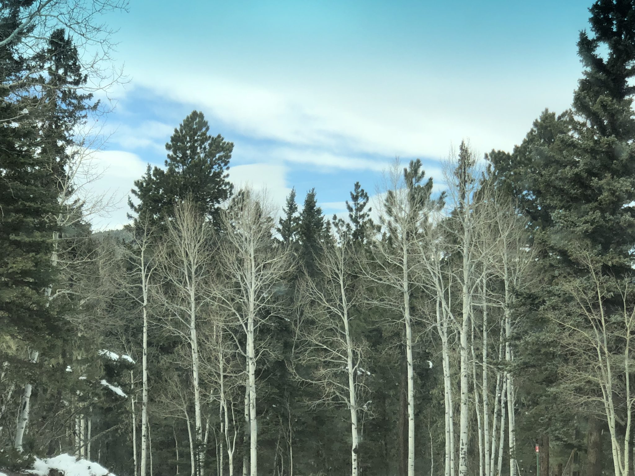 Angel Fire Country Club 1, Lot 129 North Country Real Estate