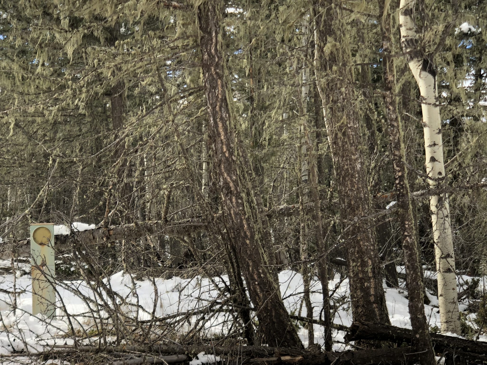 Angel Fire Country Club 1, Lot 129 North Country Real Estate