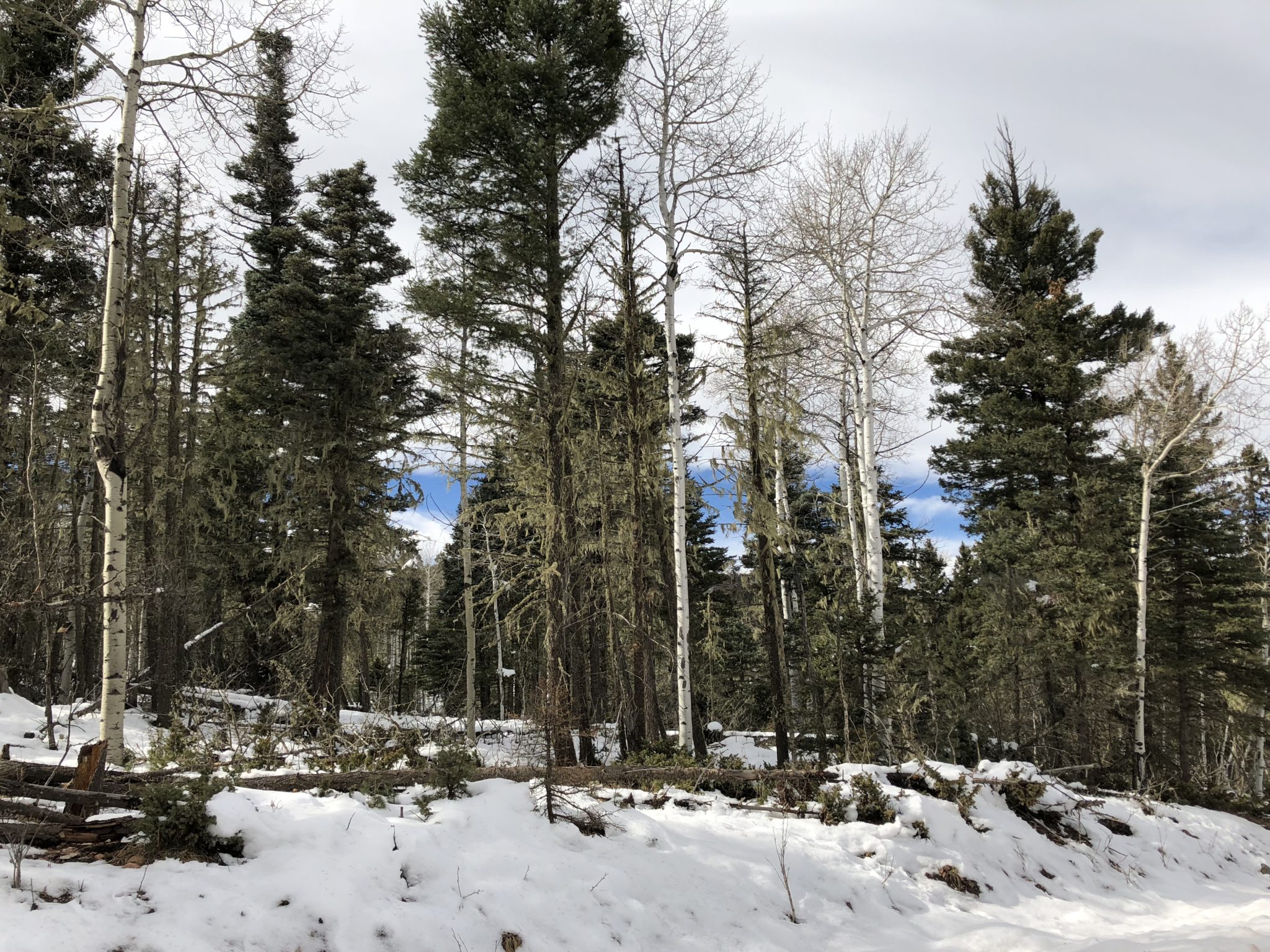 Angel Fire Country Club 1, Lot 129 North Country Real Estate