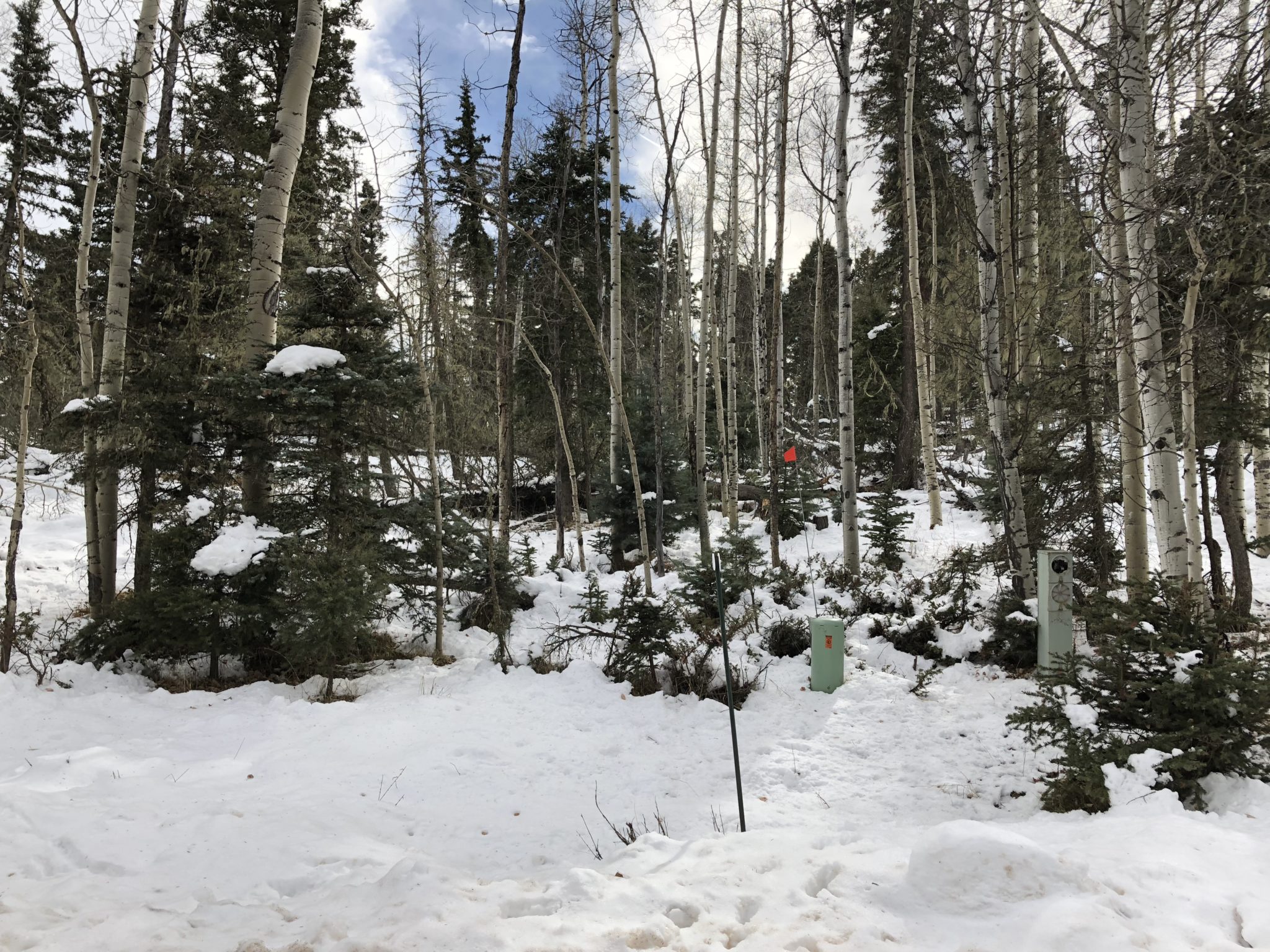 Angel Fire Country Club 1, Lot 129 North Country Real Estate