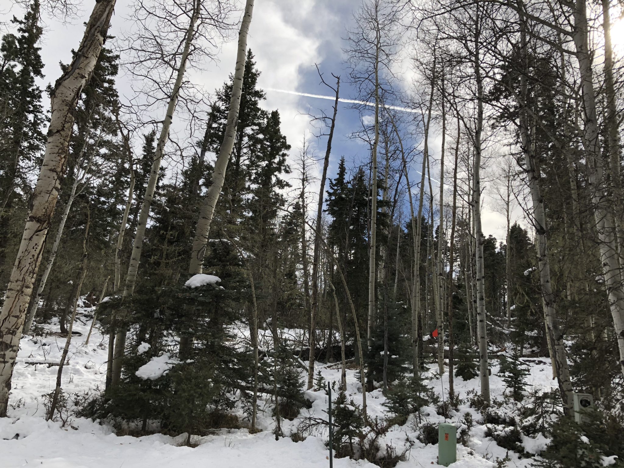 Angel Fire Country Club 1, Lot 129 North Country Real Estate