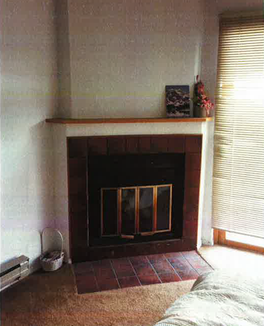 MS102 fireplace
