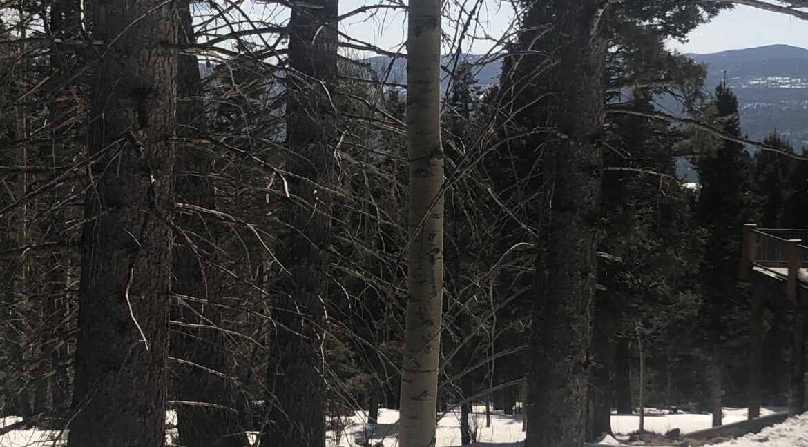 .77 Acres in Angel Fire Chalets North Country Real Estate