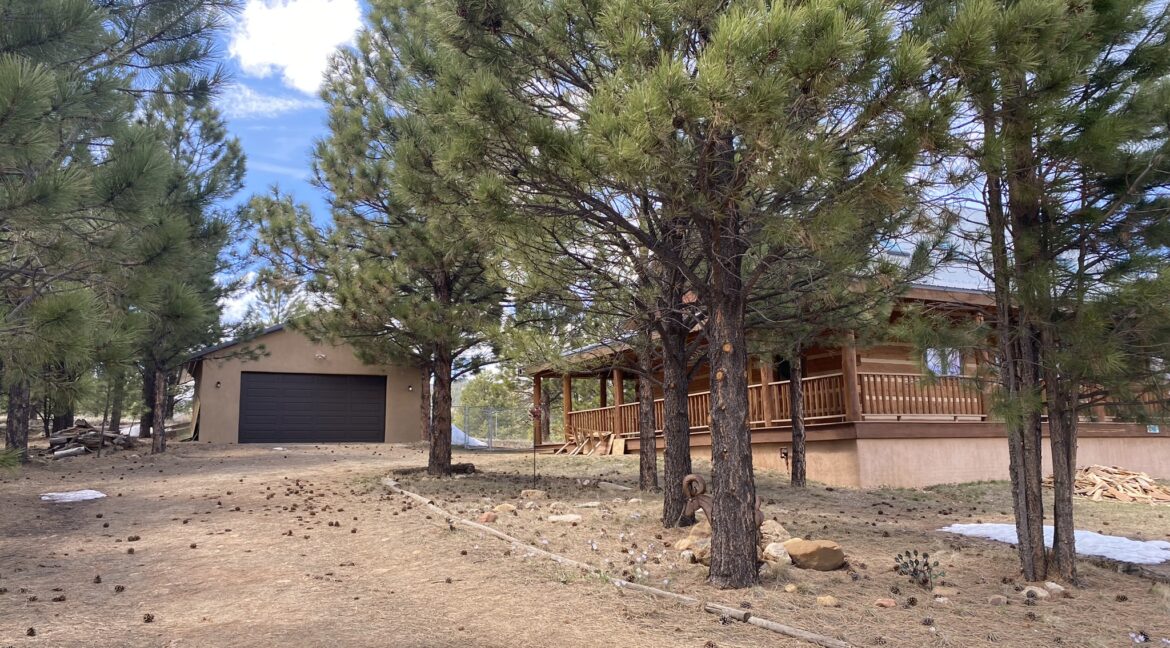 Detached Double Garage